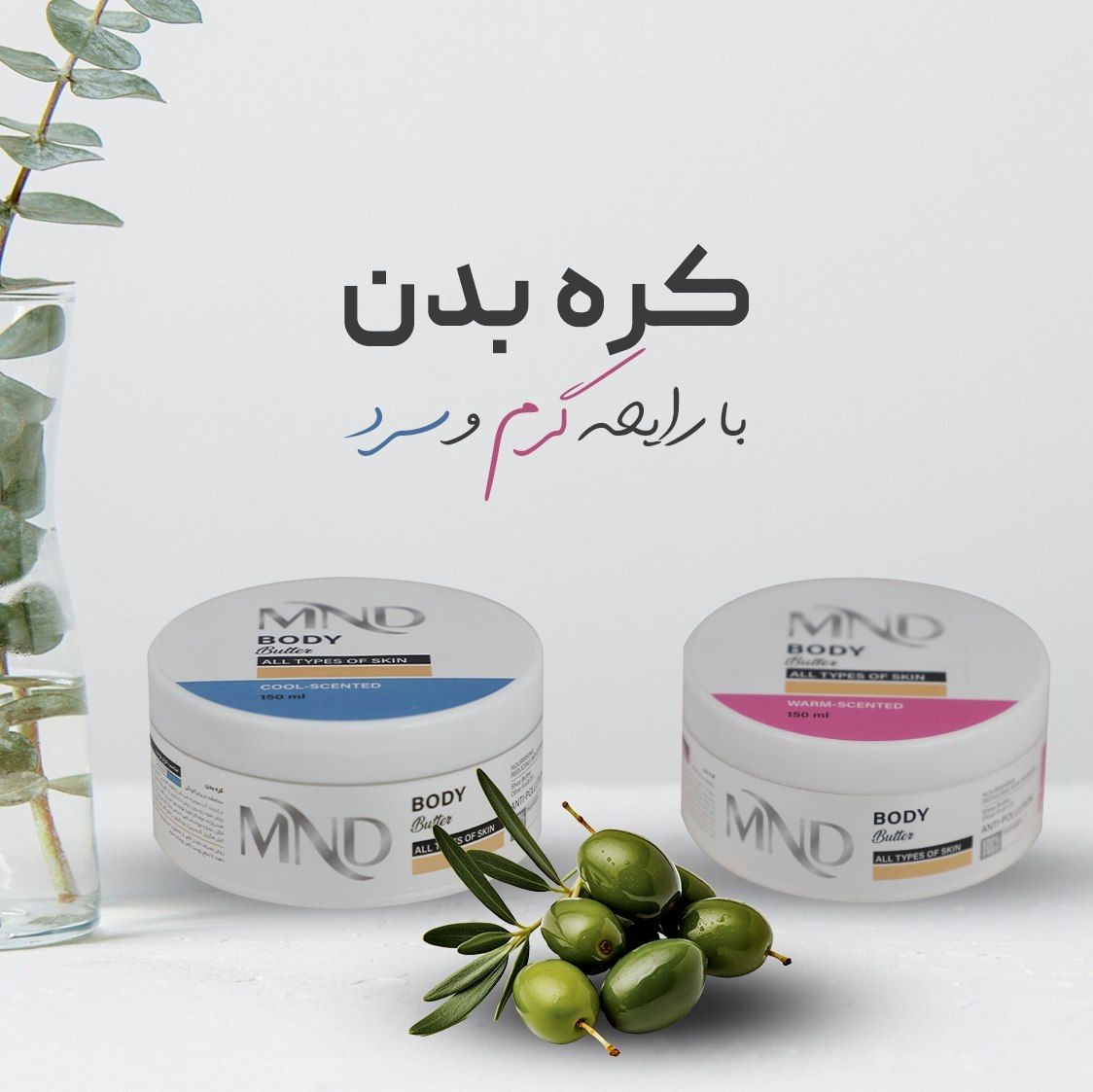 نفيس بیوتی