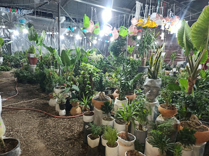 نمایشگاه گل و گیاه درخشنده