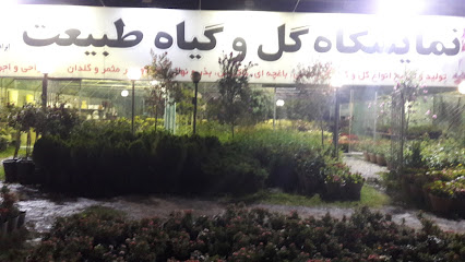 نمایشگاه گل و گیاه طبیعت