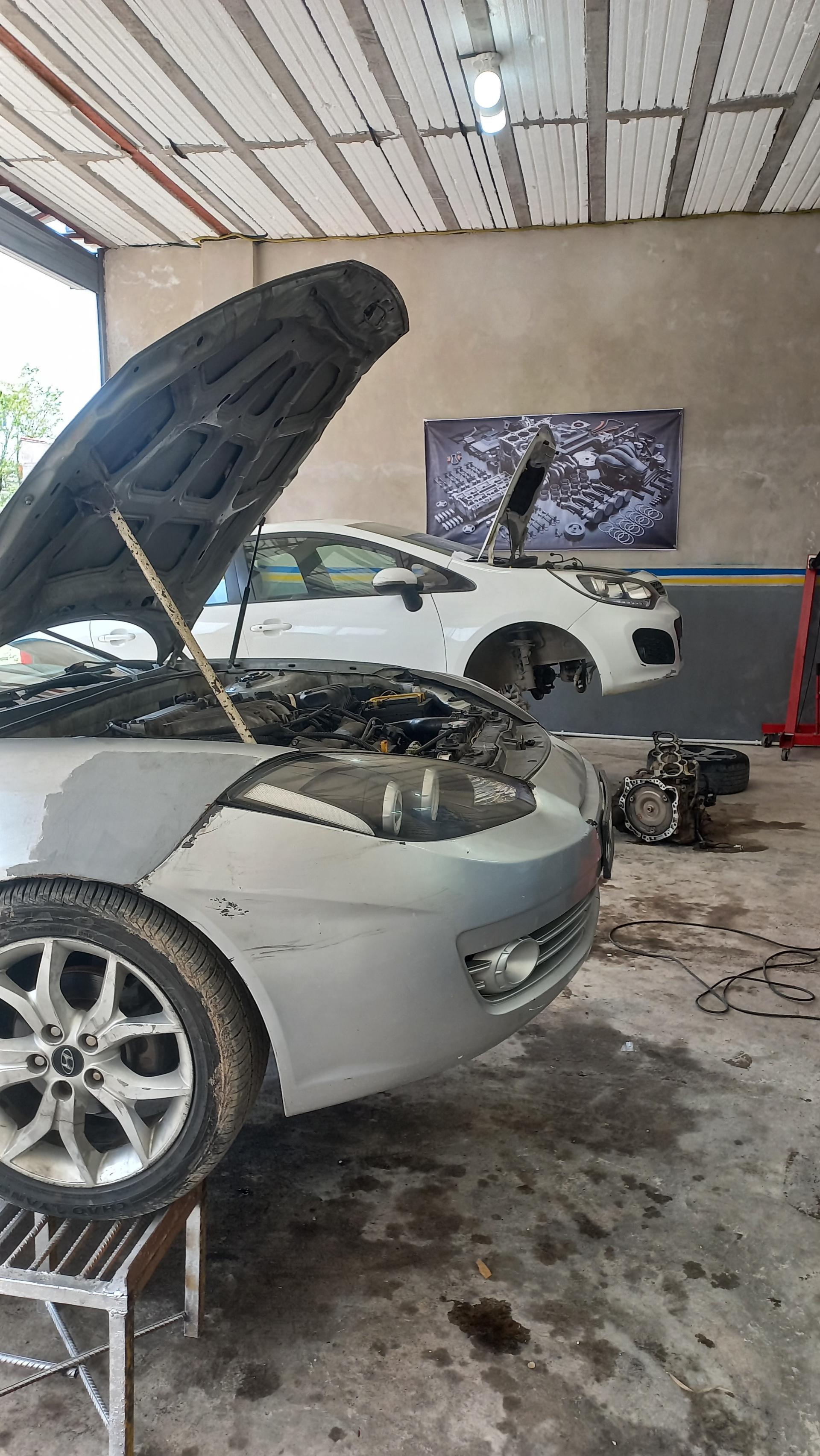 نمایندگی اکسیژن مسعود
