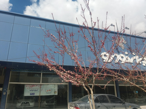 نمایندگی ایران خودرو کریمی
