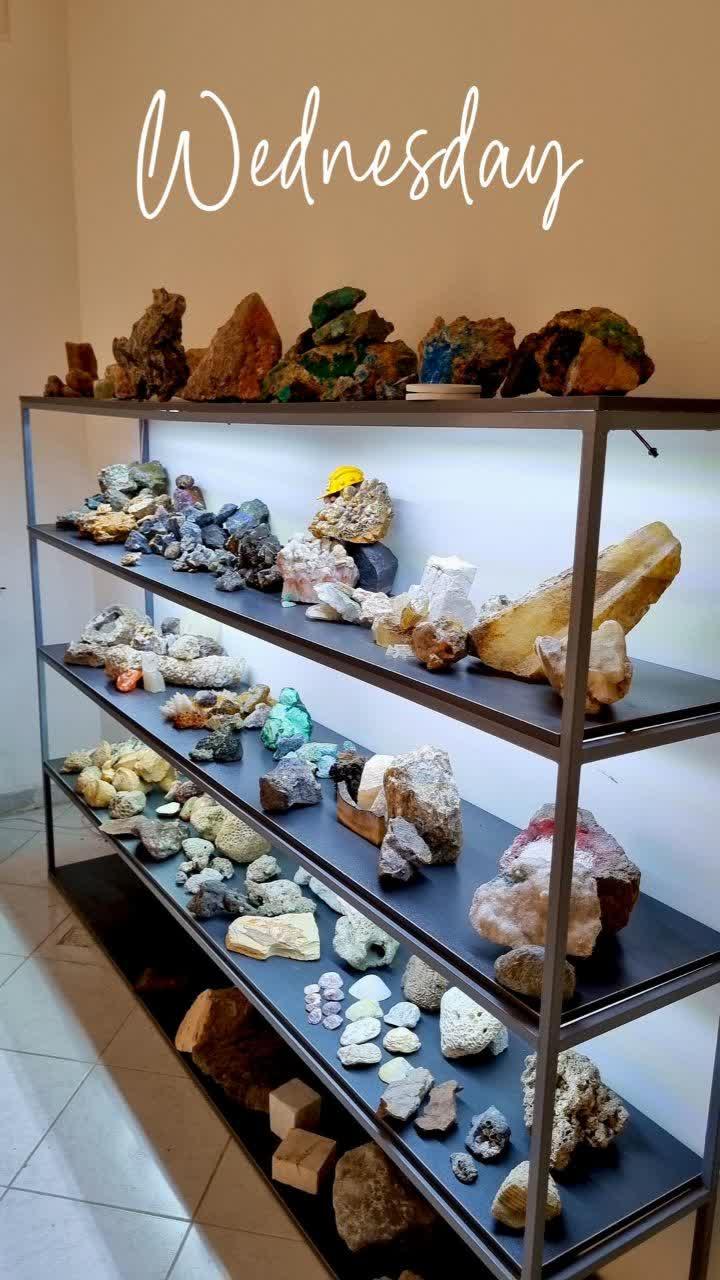 نمایندگی مرکزی شرکت بیز یزد