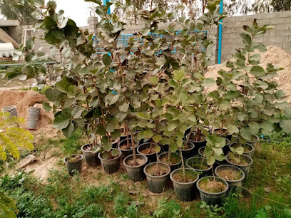 نهالستان دکتر عنایت