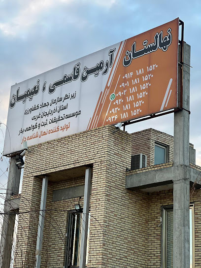 نهالستان رویال نهال آرمین قاسمی