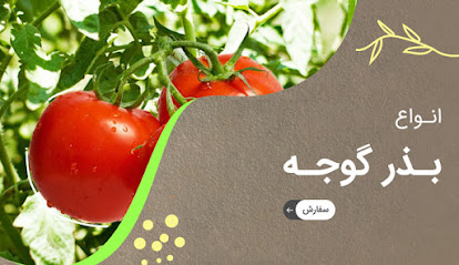 نهالستان قائم