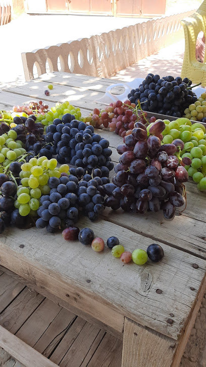 نهالستان مرکز تحقیقات کشاورزی استان سمنان - بسطام