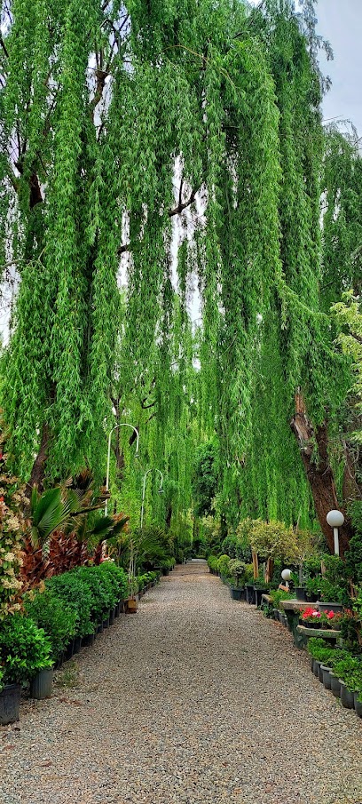 نهالستان و گلخانه گل و گیاه بیات