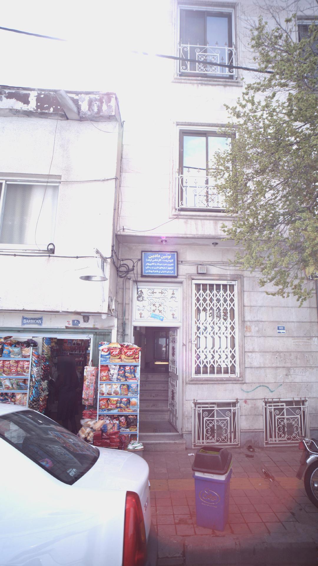 نوشین دادبین