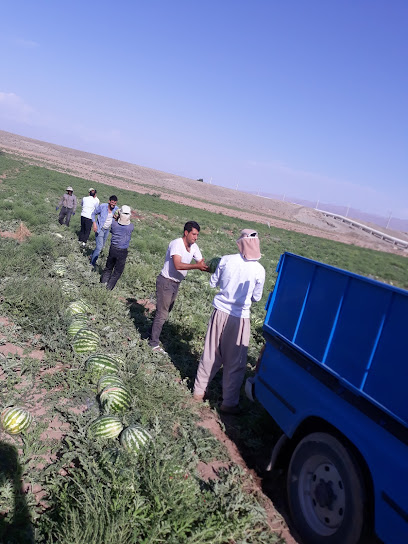 نیسان بار غلامی
