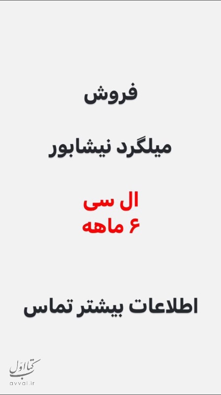 نیشابور