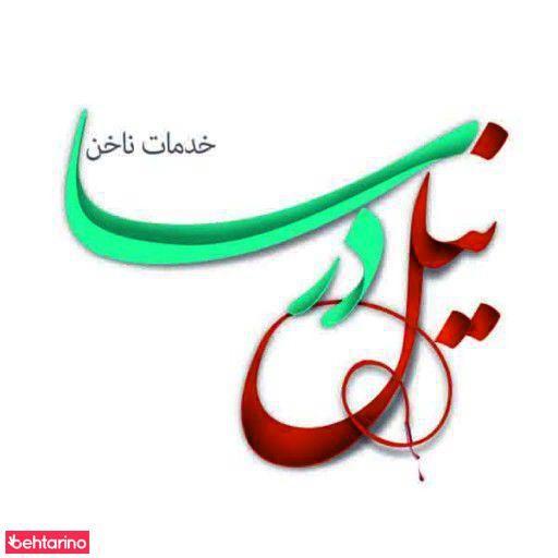 نیل درسا