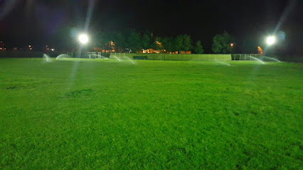 ورزشگاه زواره