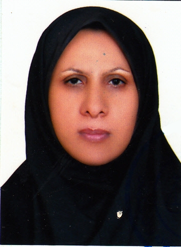 وکیل احترام کوپی