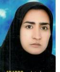 وکیل آذر ابراهیمی نصر