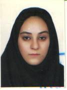 وکیل آزاده چگنی