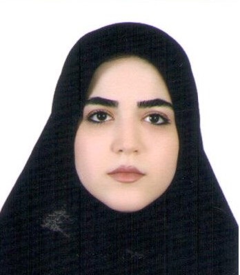 وکیل اعظم حسین نیا