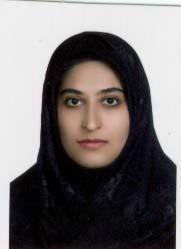 وکیل اعظم خلیلی