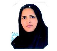 وکیل اعظم ذبیحی