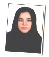 وکیل اعظم شیخ زاده فولاد لوقوئی