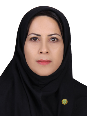 وکیل اعظم محمودی