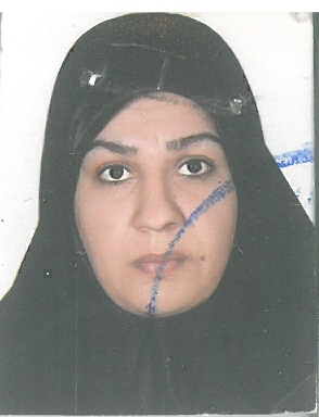 وکیل اعظم موسوی احمدآبادی