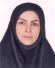 وکیل افروز گچلو