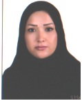 وکیل الناز علوی