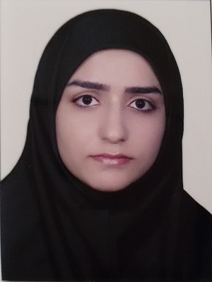 وکیل الهام افشون