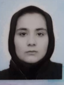 وکیل الهام حبیبی اروانق