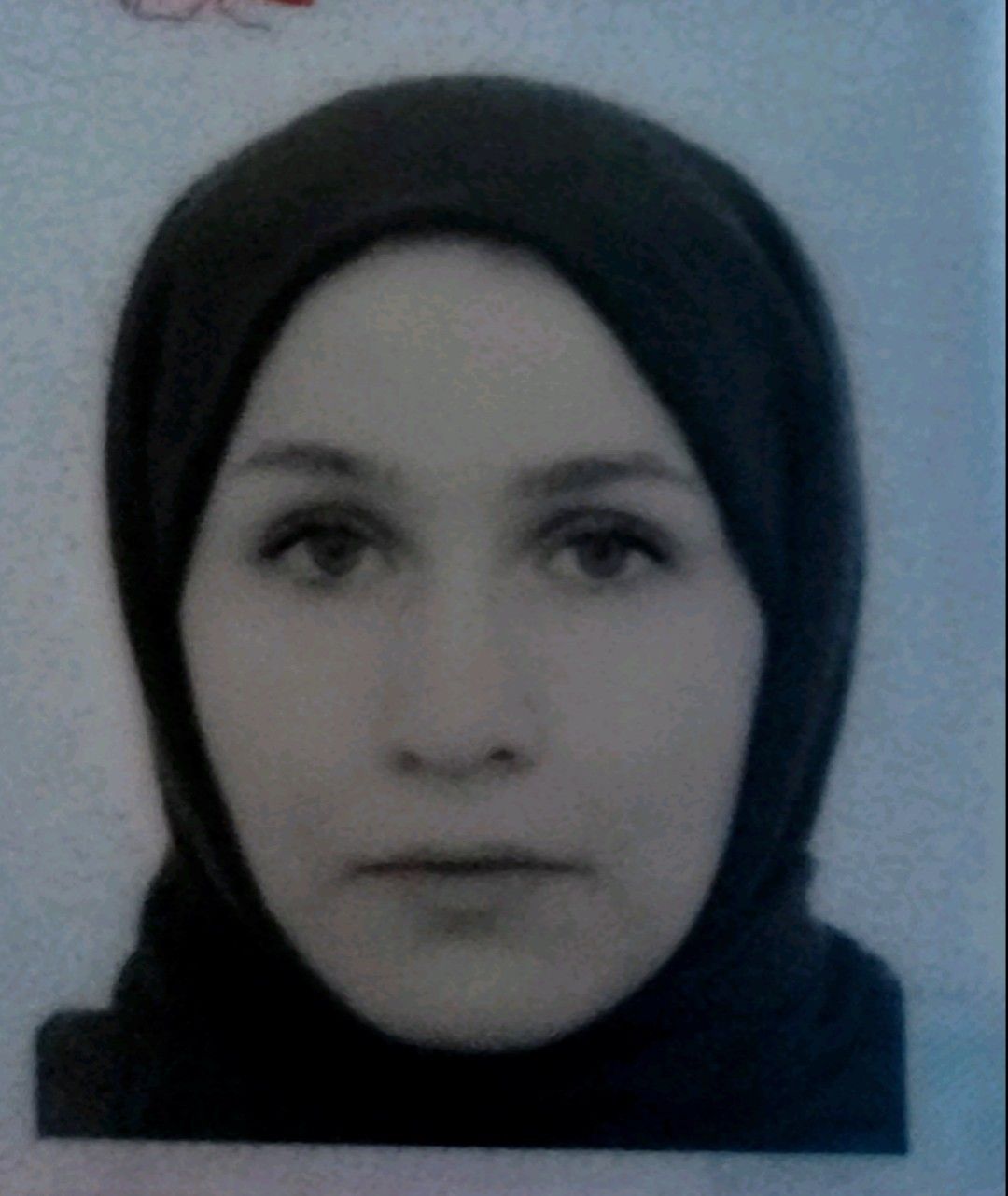 وکیل الهام حسنی