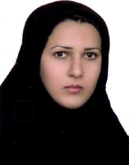 وکیل الهام حسینی
