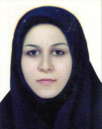 وکیل الهام عبادی