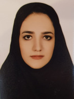 وکیل الهام علائی