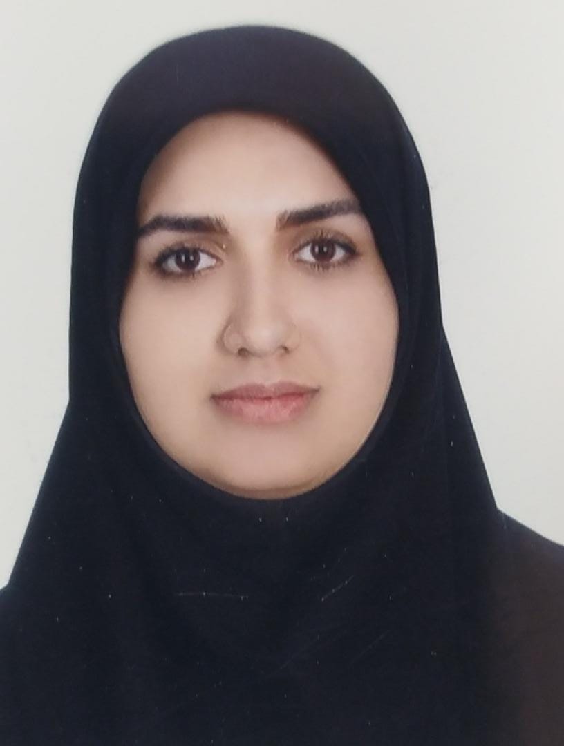 وکیل الهام ولی