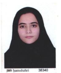 وکیل الهه احمدی