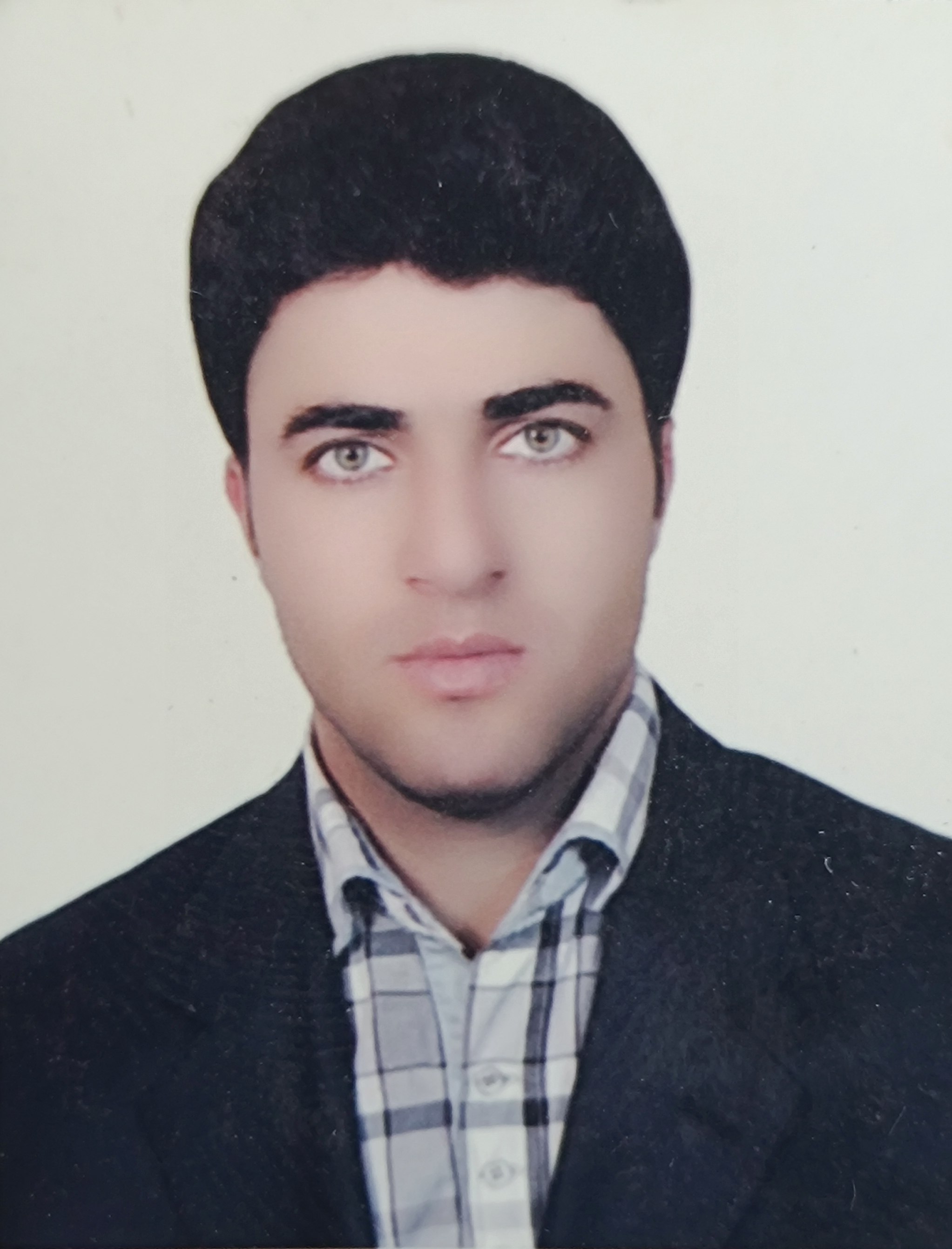 وکیل امیر سبزی