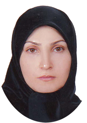 وکیل امینه سالاری هنزائی