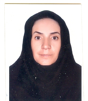 وکیل اندیشه محمدی