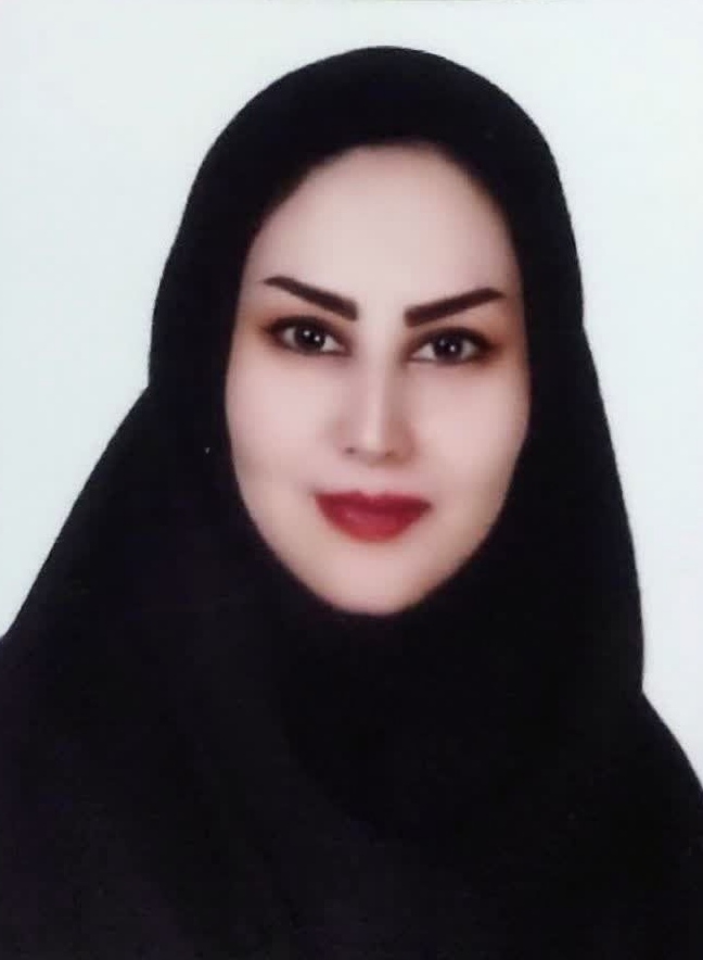 وکیل آنیس ابراهیمی