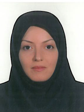 وکیل انیس پلاسچی