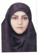 وکیل اکرم علیزاده