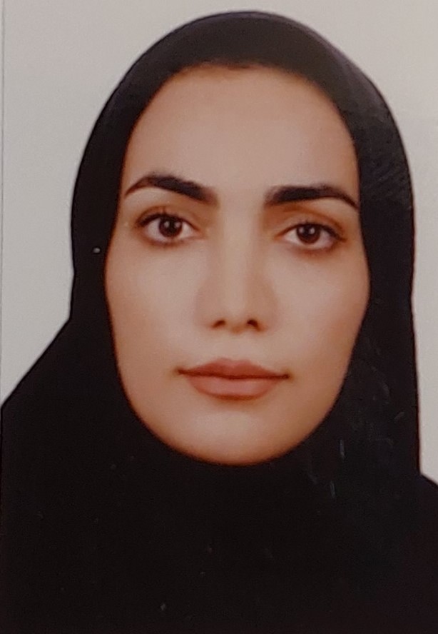 وکیل آیلین رستمی