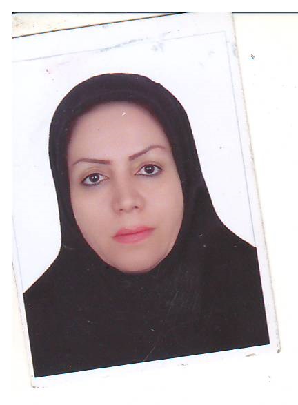 وکیل بی بی زهرا حزیره