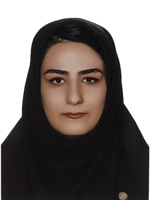 وکیل جمیله ممدوح اکابر