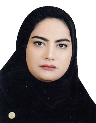 وکیل حدیثه سلاحی