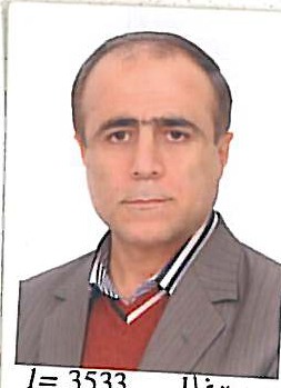 وکیل حمزه گرزین
