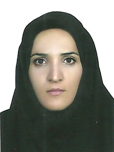 وکیل حمیده انتظار