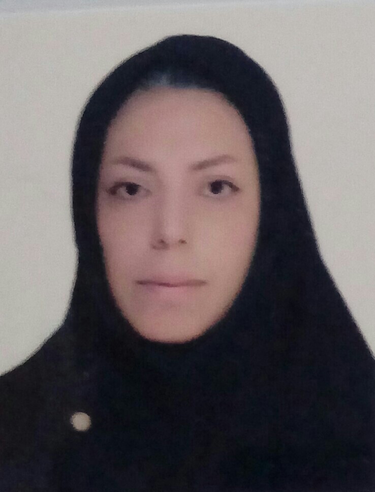 وکیل حمیده پارس لاری