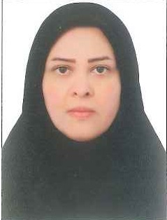 وکیل خدیجه زین الدینی میمند