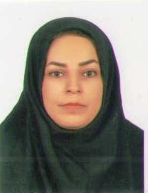 وکیل خدیجه‌ نصیری